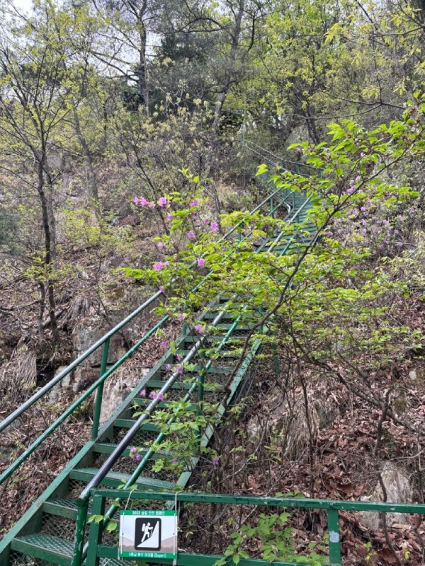 5단계 전경.jpg