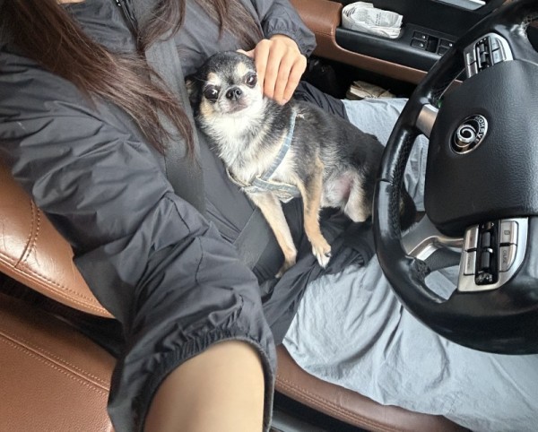 구봉산2.jpg